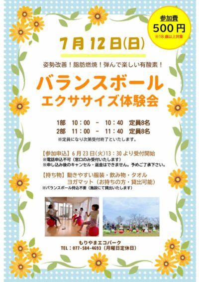 バランスボールエクササイズ体験会PDF②のサムネイル