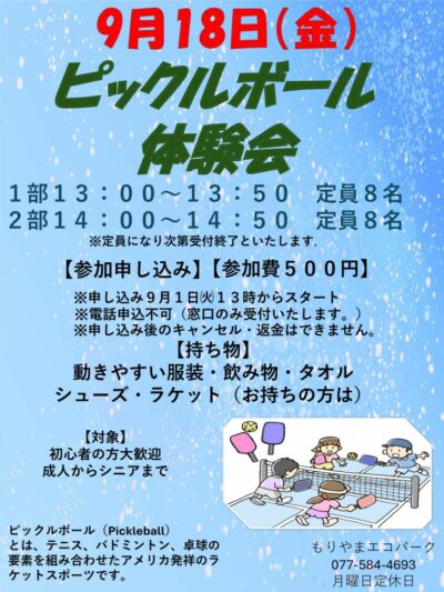 ピックルボール案内のサムネイル