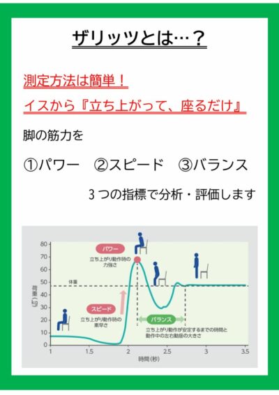 ザリッツとは？ – コピーのサムネイル
